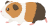 モルモット